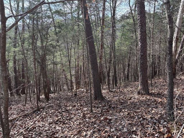 292 Shirley Road SE, Ranger, GA 30734
