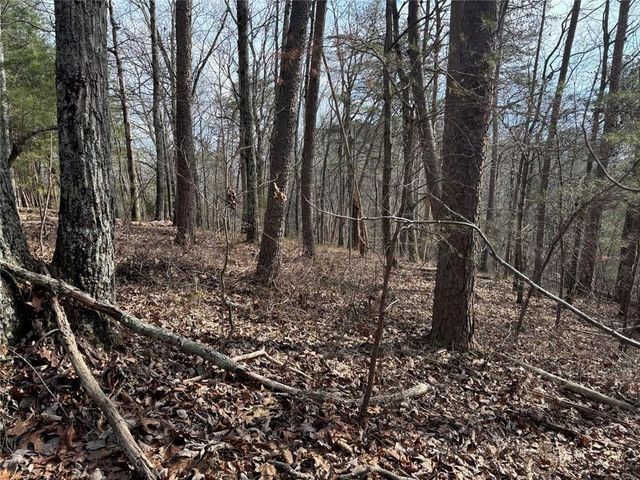 292 Shirley Road SE, Ranger, GA 30734
