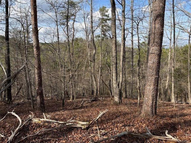 292 Shirley Road SE, Ranger, GA 30734