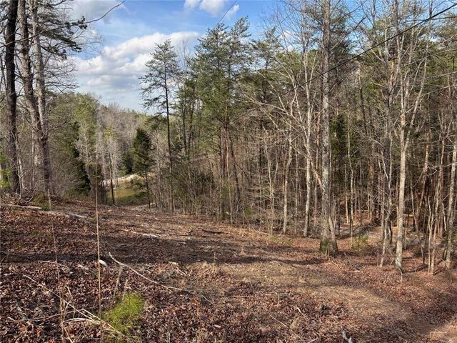 292 Shirley Road SE, Ranger, GA 30734