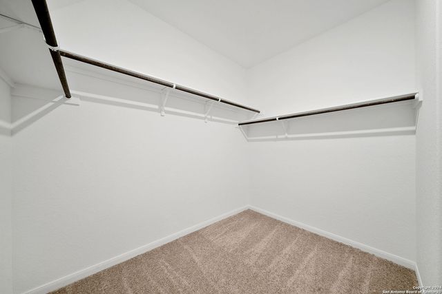 31823 Christmas Rose, Bulverde, TX 78163