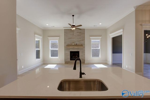 12378 Narayan Street, Madison, AL 35756