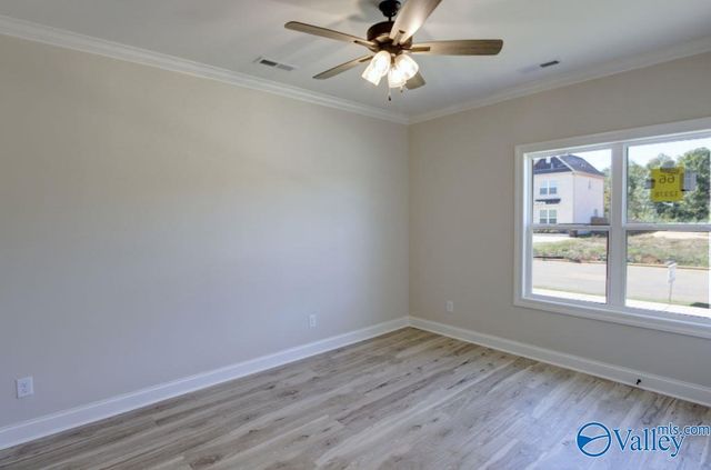 12378 Narayan Street, Madison, AL 35756