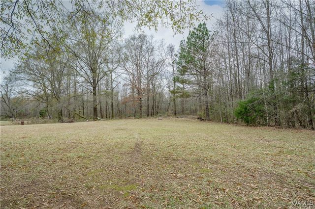 7950 Highway 96, Belk, AL 35555