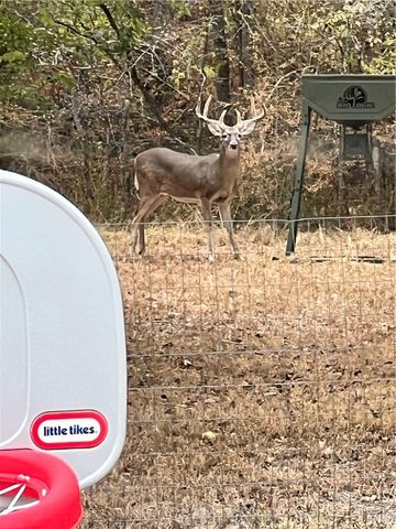 6401 Windwood Drive, College Station, TX 77845