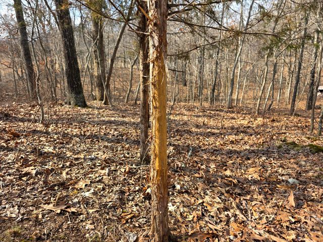 000 Rr 1 Box 6548, Ava, MO 65608