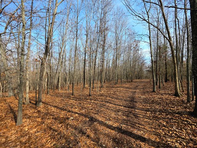 000 Rr 1 Box 6548, Ava, MO 65608