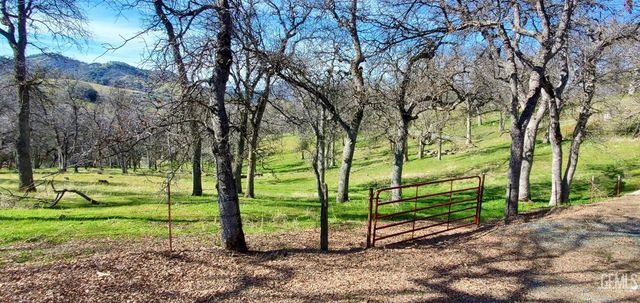 43717 Deer Creek Mill Road, Cal Hot Springs, CA 93207
