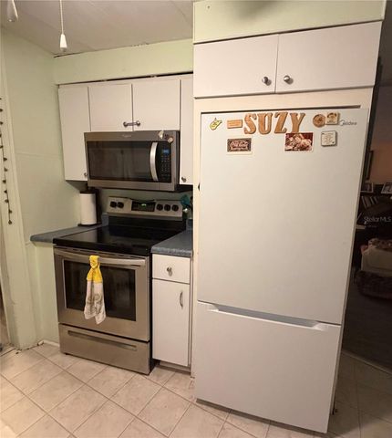 3315 CR 431N, Lake Panasoffkee, FL 33538