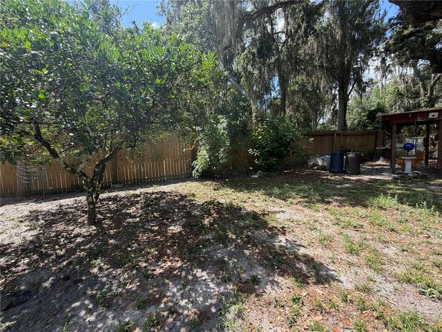 3315 CR 431N, Lake Panasoffkee, FL 33538
