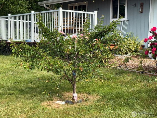 8404 Treevue, Blaine, WA 98230