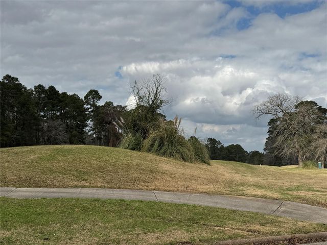 TBD Park Forest Lane, Huntsville, TX 77320