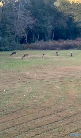 101 Pebble Lane, Sylvania, AL 35988