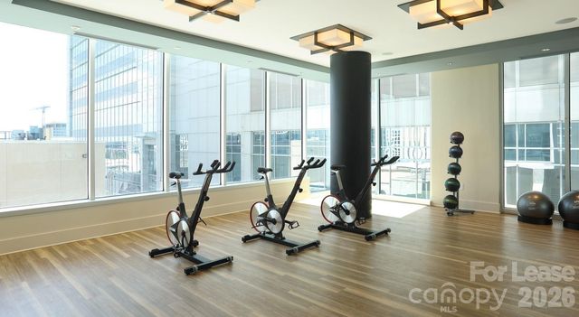 525 S Church Street 2A PREMIUM, Charlotte, NC 28202