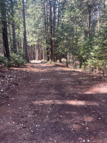 17360 Wyatt Earp Rd, Nevada City, CA 95959