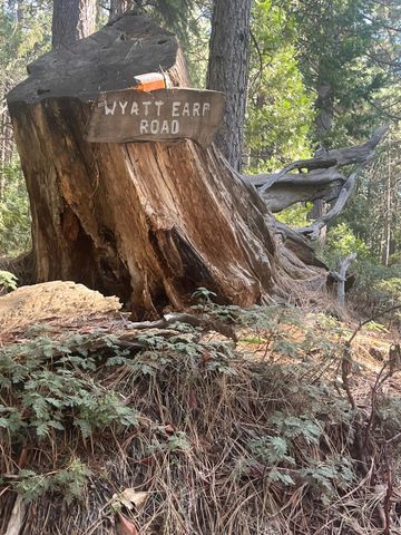 17360 Wyatt Earp Rd, Nevada City, CA 95959
