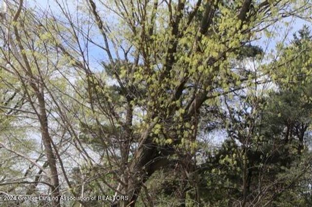 4106 Sebring Drive, Lansing, MI 48911