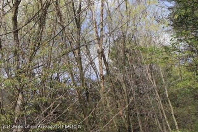 4106 Sebring Drive, Lansing, MI 48911