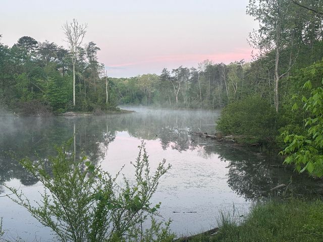 33 Dwellings Drive Lot 191, Tracy City, TN 37387