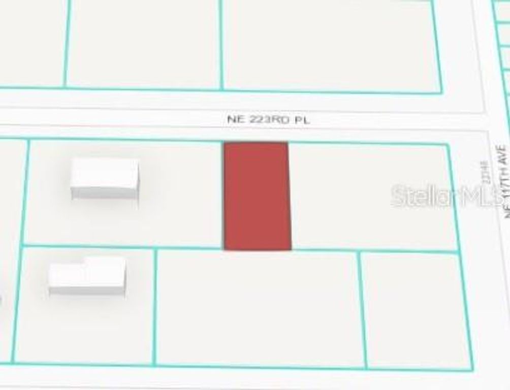 NE 223 PL, Fort Mc Coy, FL 32134