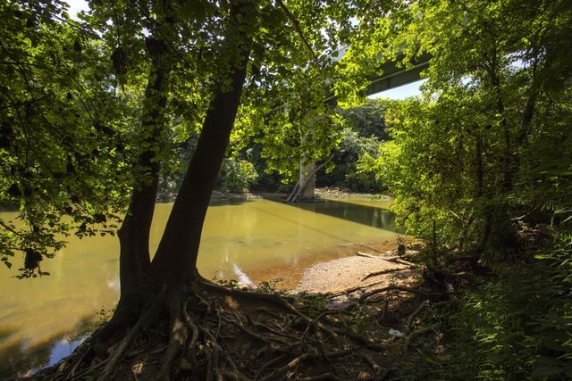 2405 Hartman Cove, Columbia, TN 38401