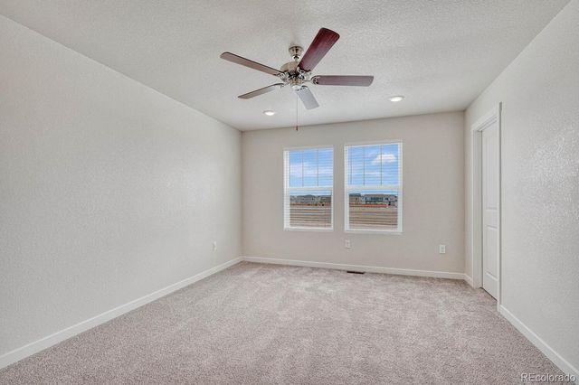 8210 Grey Bark, Colorado Springs, CO 80924