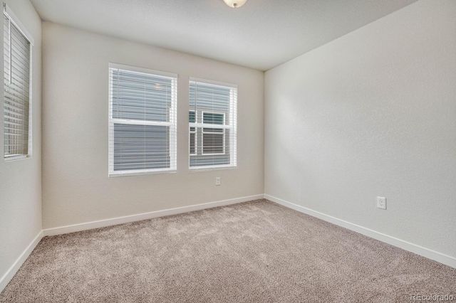 8210 Grey Bark, Colorado Springs, CO 80924