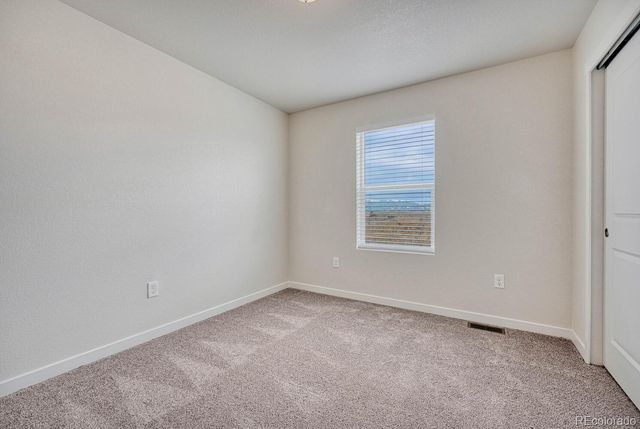 8210 Grey Bark, Colorado Springs, CO 80924