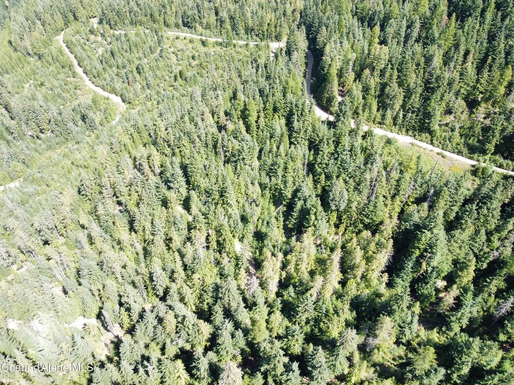 520 Alpine Drive, Fernwood, ID 83830 photo 12