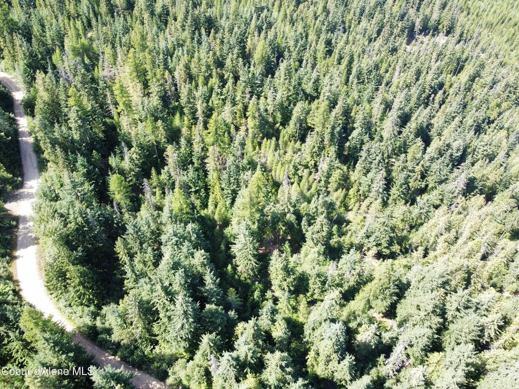 520 Alpine Drive, Fernwood, ID 83830 photo 14