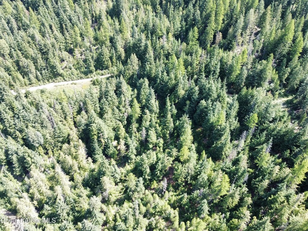 520 Alpine Drive, Fernwood, ID 83830 photo 15