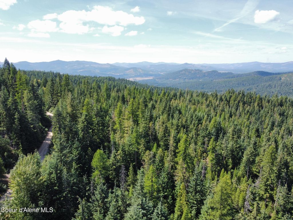 520 Alpine Drive, Fernwood, ID 83830 photo 16