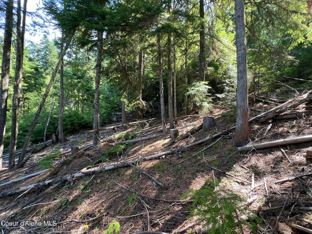 520 Alpine Drive, Fernwood, ID 83830 photo 2