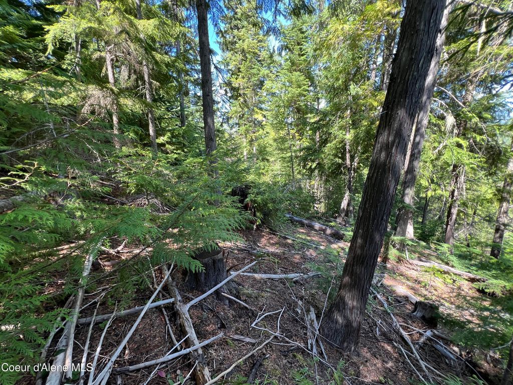 520 Alpine Drive, Fernwood, ID 83830 photo 3