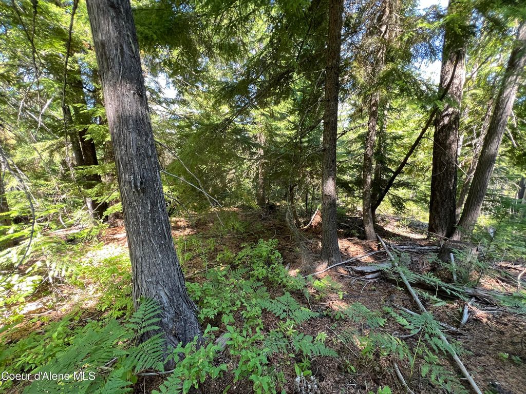 520 Alpine Drive, Fernwood, ID 83830 photo 4