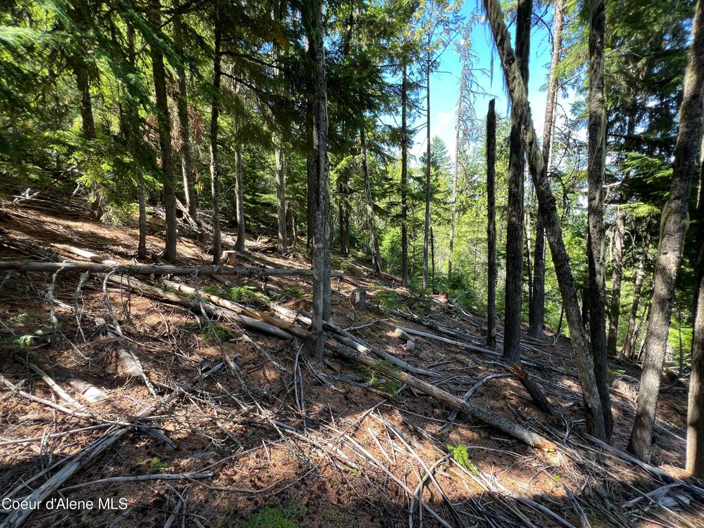 520 Alpine Drive, Fernwood, ID 83830 photo 5