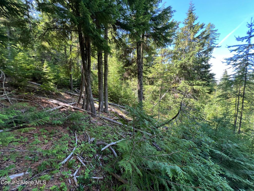 520 Alpine Drive, Fernwood, ID 83830 photo 6