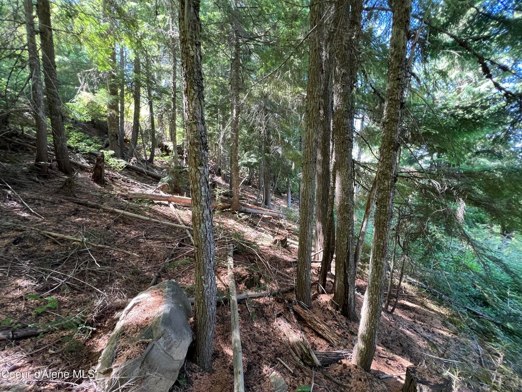 520 Alpine Drive, Fernwood, ID 83830 photo 8