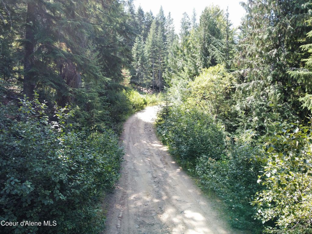 520 Alpine Drive, Fernwood, ID 83830 photo 9