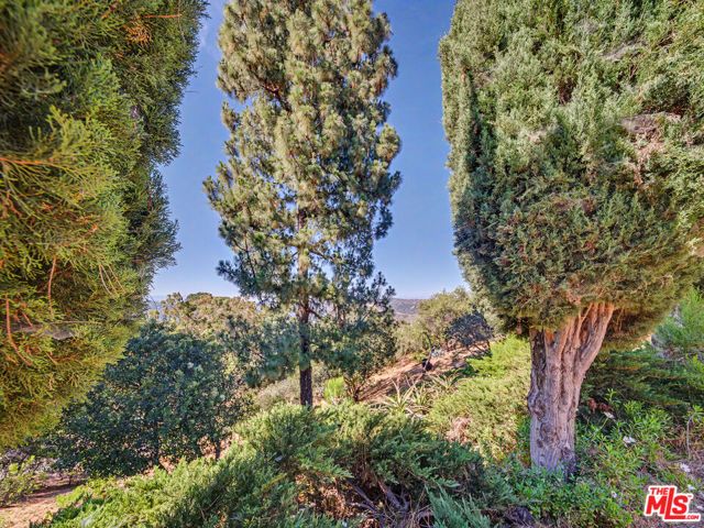 2188 Tuna Canyon Road, Topanga (los Angeles), CA 90290