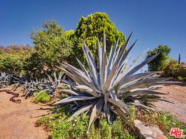2188 Tuna Canyon Road, Topanga (los Angeles), CA 90290