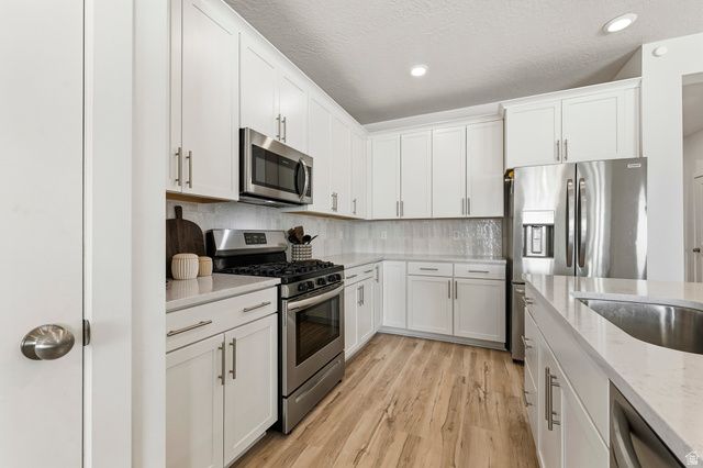 236 W PRICKLY PEAR DR, Saratoga Springs, UT 84045