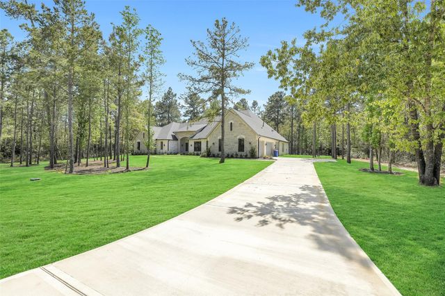 25123 Chisos Bend, Montgomery, TX 77316