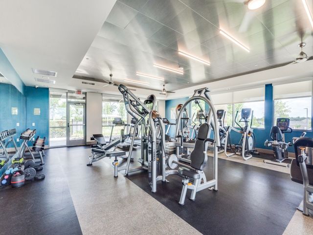 1117 Chambers Creek Cove, Mckinney, TX 75071