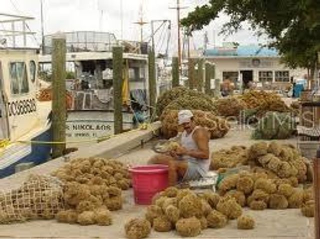 1716 GOLFVIEW DRIVE 1716, Tarpon Springs, FL 34689