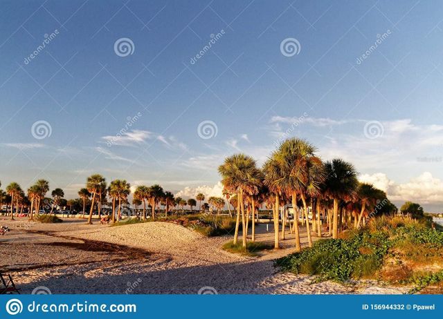 1716 GOLFVIEW DRIVE 1716, Tarpon Springs, FL 34689