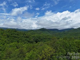 83 Shanty Town Road, Old Fort, NC 28762