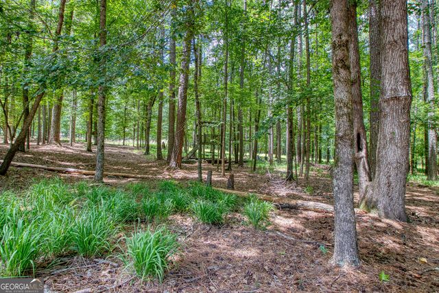 145 Cottonmill Court, Fayetteville, GA 30215