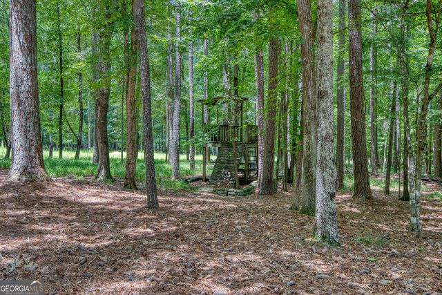 145 Cottonmill Court, Fayetteville, GA 30215