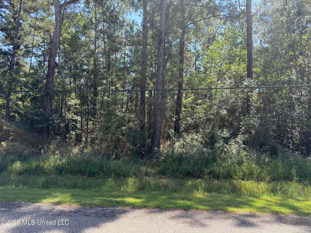 E Itawamba Street, Bay Saint Louis, MS 39520